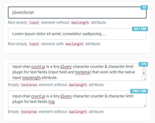 Accessible Character Counter Plugin For Text Field