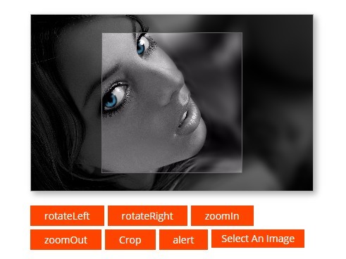 Resizing And Cropping Images With Canvas Crop Image Javascript | My XXX ...