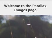 Small Fast jQuery Parallax Scrolling Plugin - jquery.parallax.js