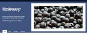 Blueberry Jquery Image Slider Plugin