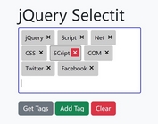 User-friendly Tag Management jQuery Plugin - Selectit.js